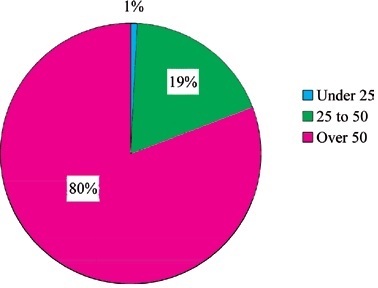 Age of tower captains pie chart